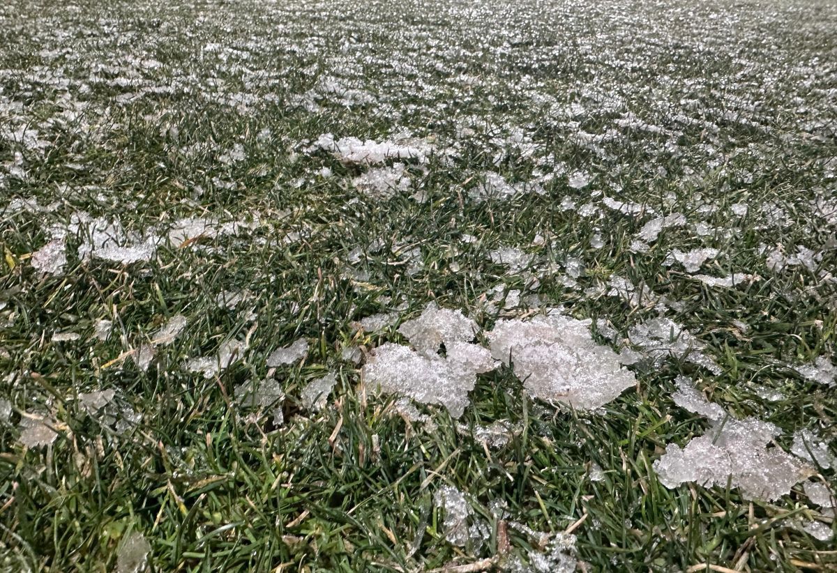 Gestul făcut de toți fotbaliștii campioanei FCSB, când au pășit pe gazonul de la Mioveni