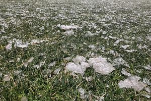 Gestul făcut de toți fotbaliștii campioanei FCSB, când au pășit pe gazonul de la Mioveni