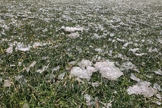 Gestul făcut de toți fotbaliștii campioanei FCSB, când au pășit pe gazonul de la Mioveni