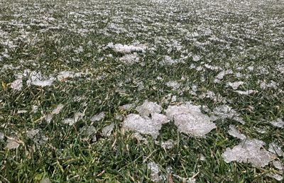 Gestul făcut de toți fotbaliștii campioanei FCSB, când au pășit pe gazonul de la Mioveni