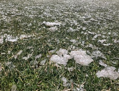 Gestul făcut de toți fotbaliștii campioanei FCSB, când au pășit pe gazonul ...