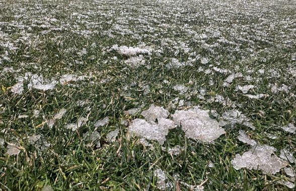 Gestul făcut de toți fotbaliștii campioanei FCSB, când au pășit pe gazonul de la Mioveni