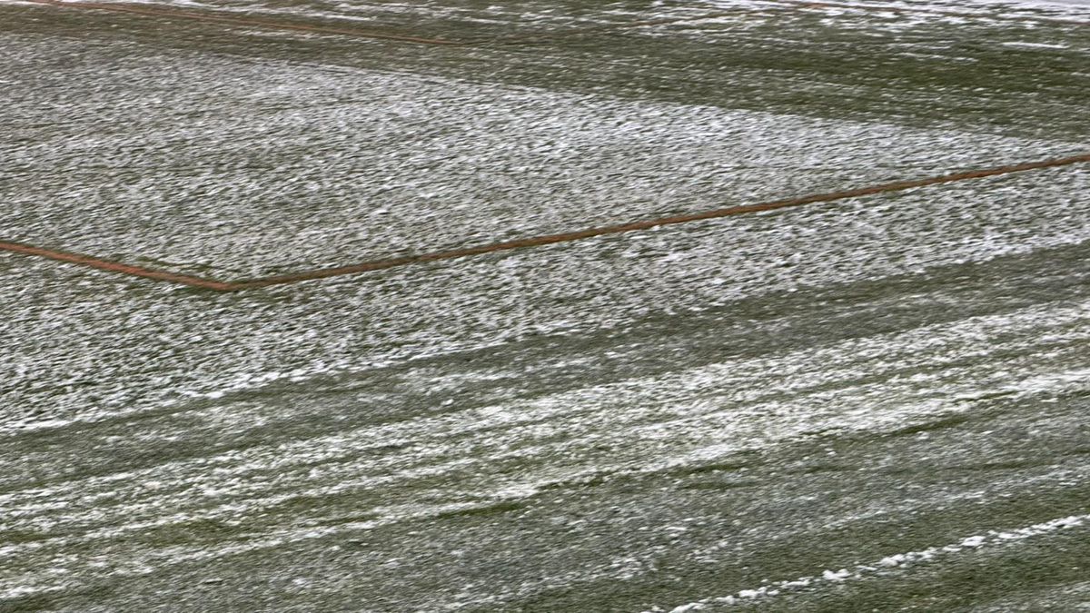 Cum se prezintă gazonul înainte de FC Argeș - FCSB