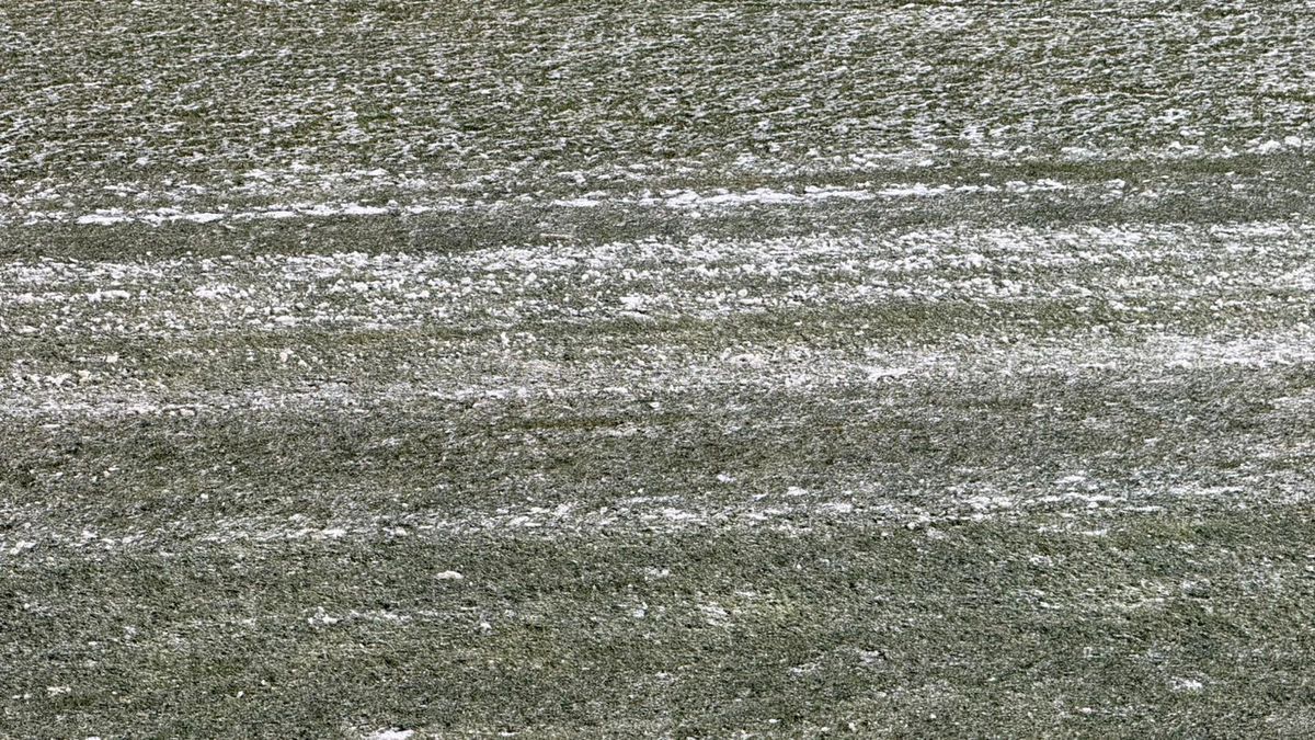 Cum se prezintă gazonul înainte de FC Argeș - FCSB