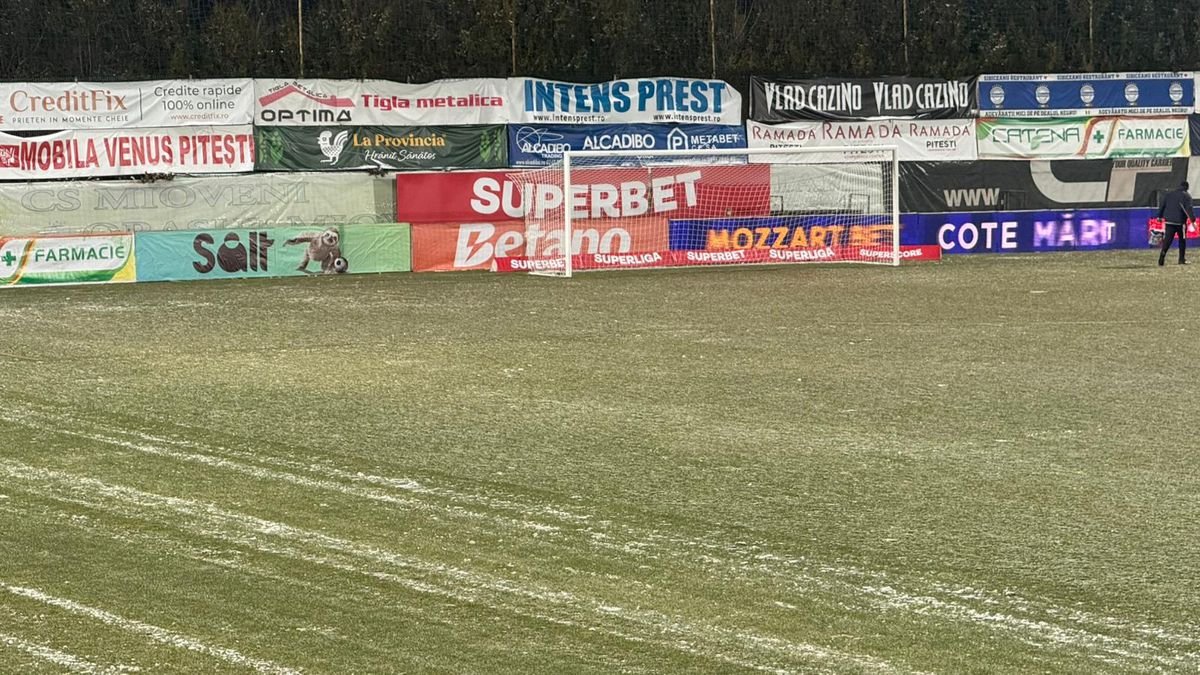 Cum se prezintă gazonul înainte de FC Argeș - FCSB