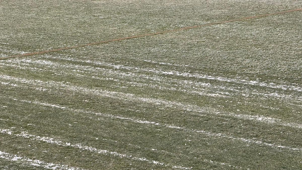 Cum se prezintă gazonul înainte de FC Argeș - FCSB