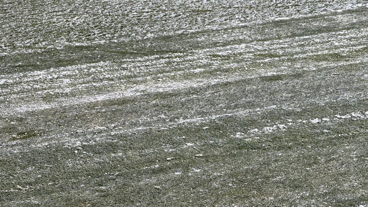 Cum se prezintă gazonul înainte de FC Argeș - FCSB