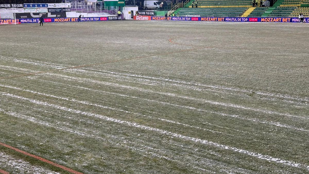 Cum se prezintă gazonul înainte de FC Argeș - FCSB