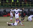 Imagini de la finalul meciului FC Argeș - FCSB