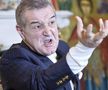 DINAMO - FCSB 2-1 // Gigi Becali a trecut la represalii după eșecul din Derby: „Circar! Nu mai prinde echipa! Trebuie să-i transmit ceva și lui Vintilă”