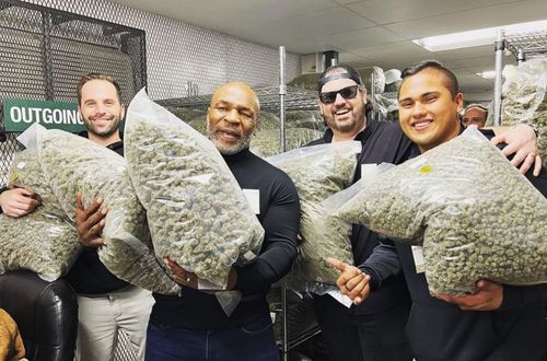 Mike Tyson (55 de ani) s-a fotografiat în timp ce ținea în brațe un sac imens cu iarbă. Legenda boxului a vizitat noi parteneri pentru extinderea afacerilor lui cu marijuana.