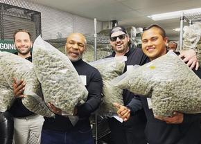 Mike Tyson s-a pozat cu un sac imens de marijuana în brațe » A strâns un milion de like-uri