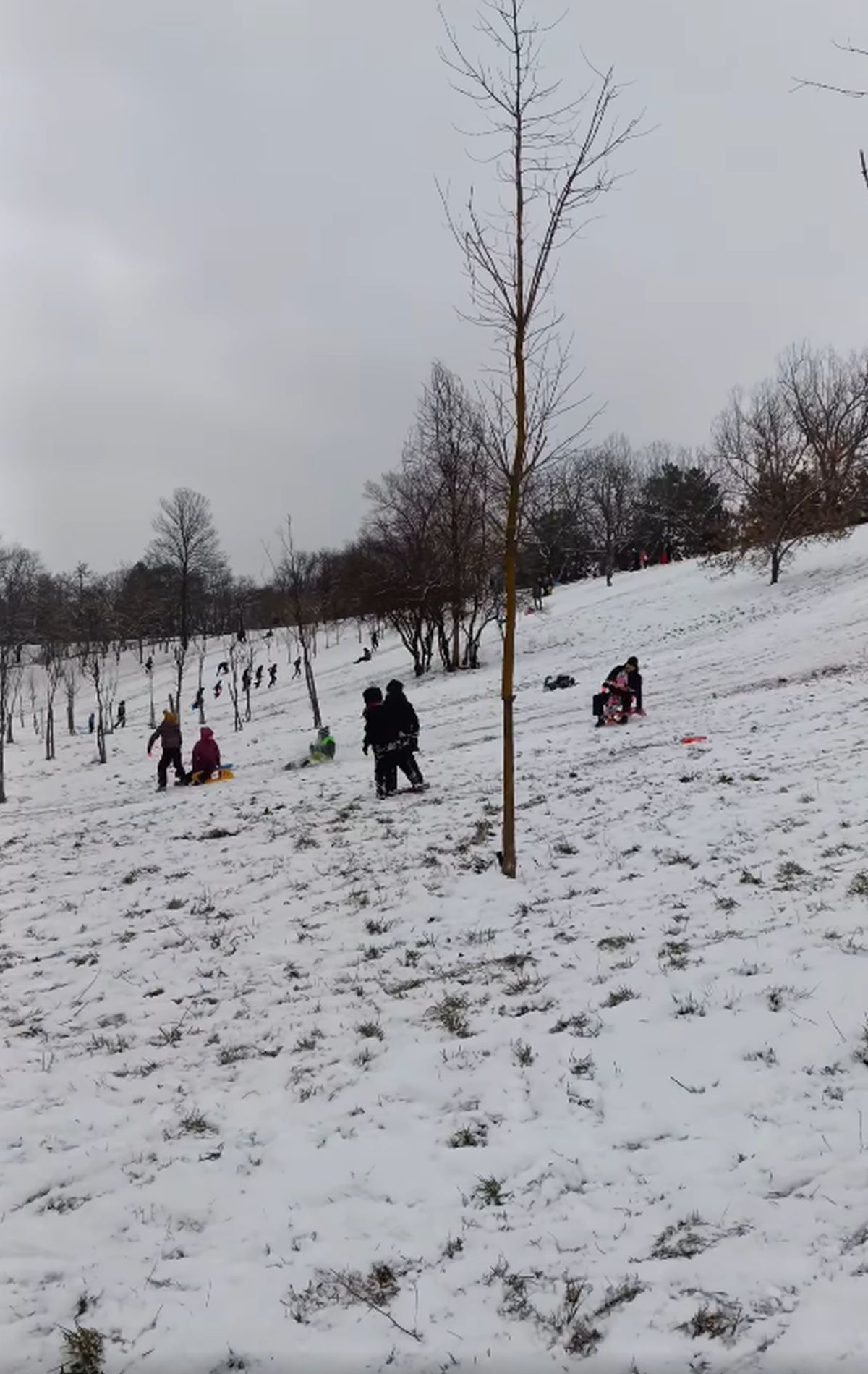 Zăpada a pus stăpânire pe București: va continua până miercuri