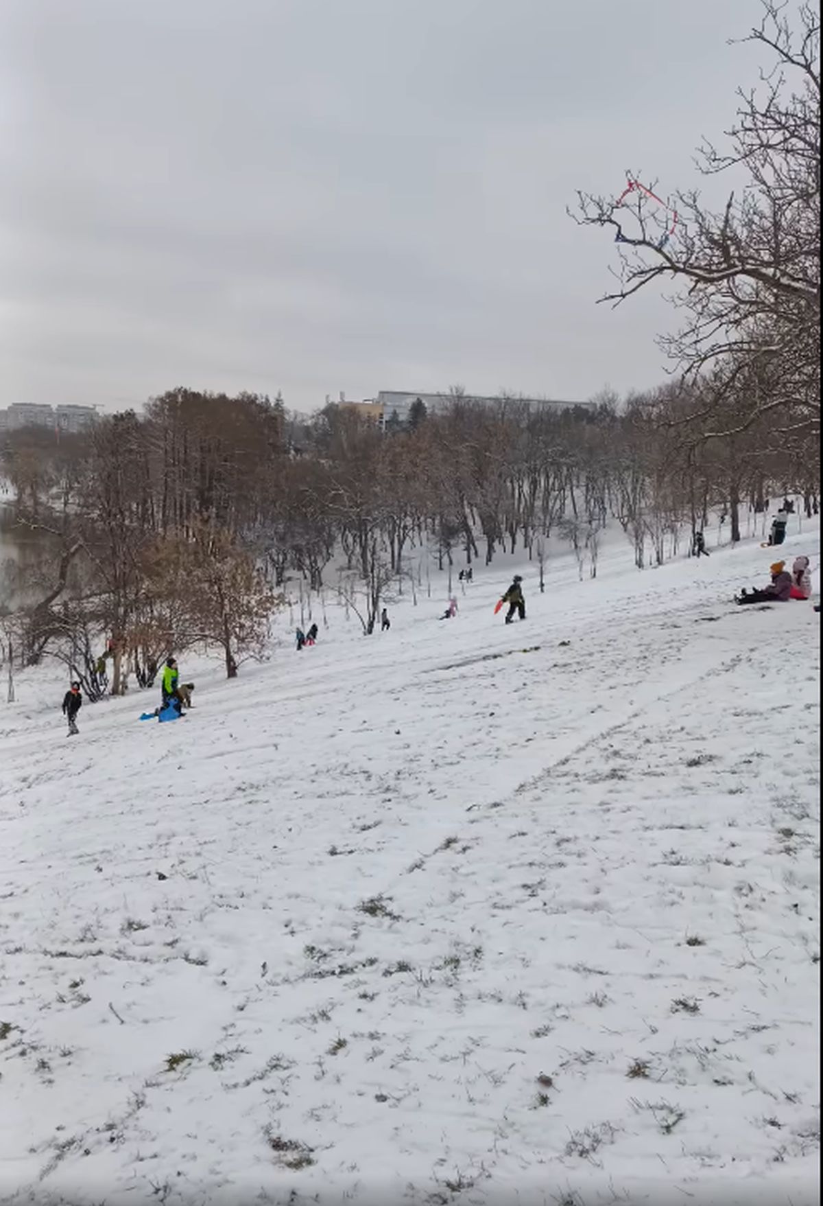 Zăpada a pus stăpânire pe București: va continua până miercuri