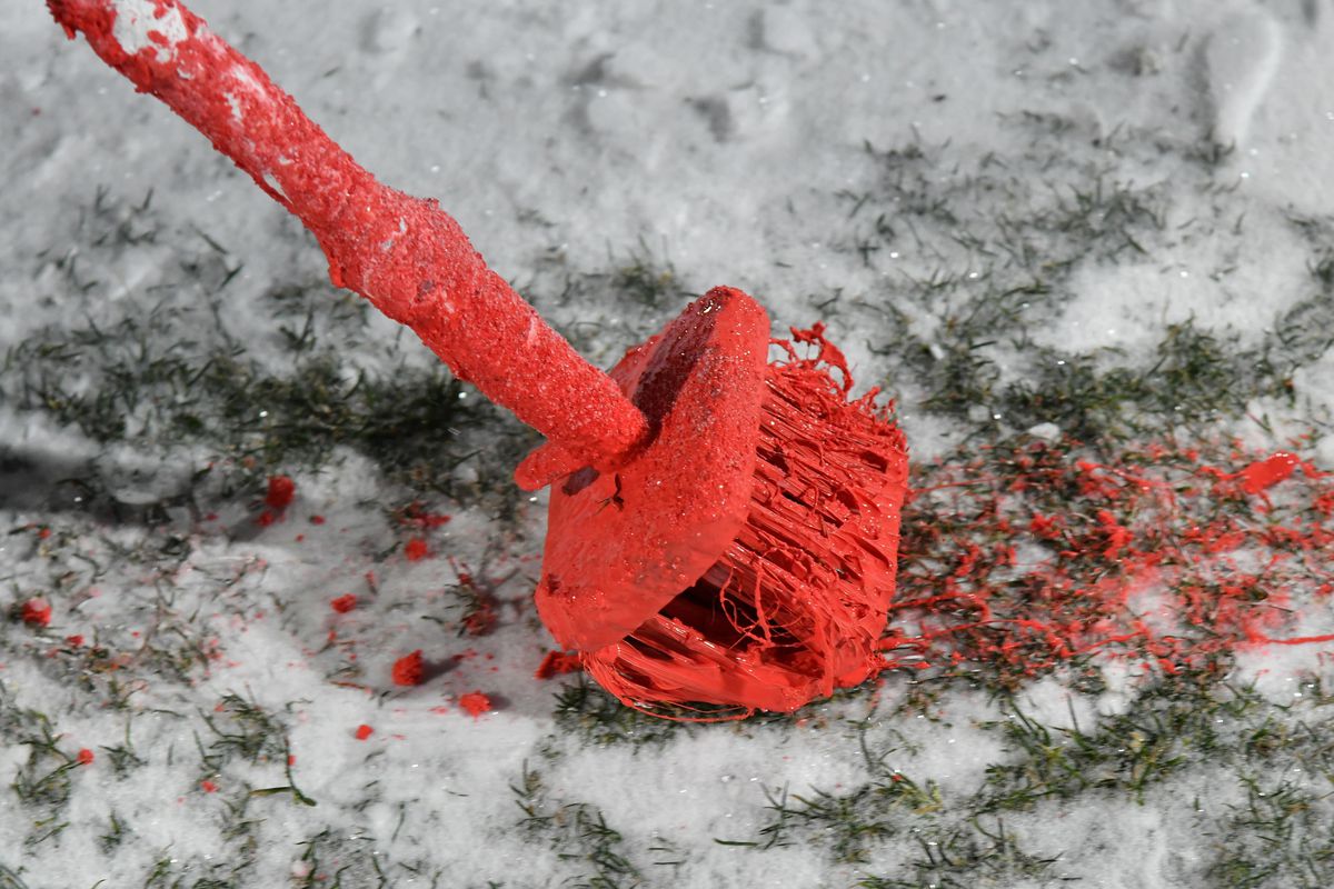 Gloria Buzău - FCSB, disputat pe ninsoare, foto: Cristi Preda / GSP // 16.02.2025