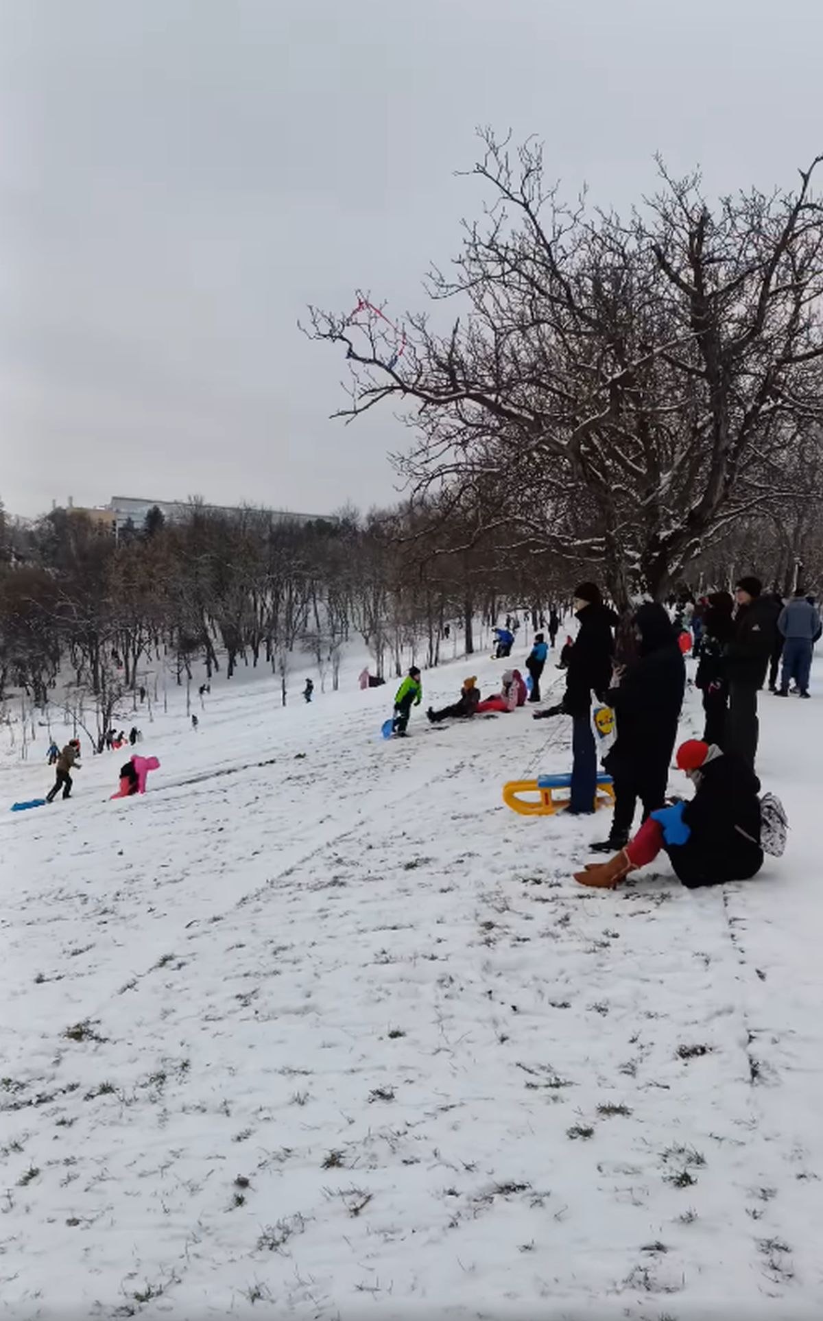 Zăpada a pus stăpânire pe București: va continua până miercuri