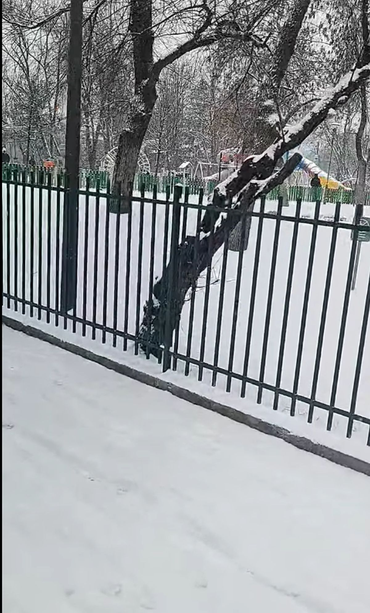 Zăpada a pus stăpânire pe București: va continua până miercuri