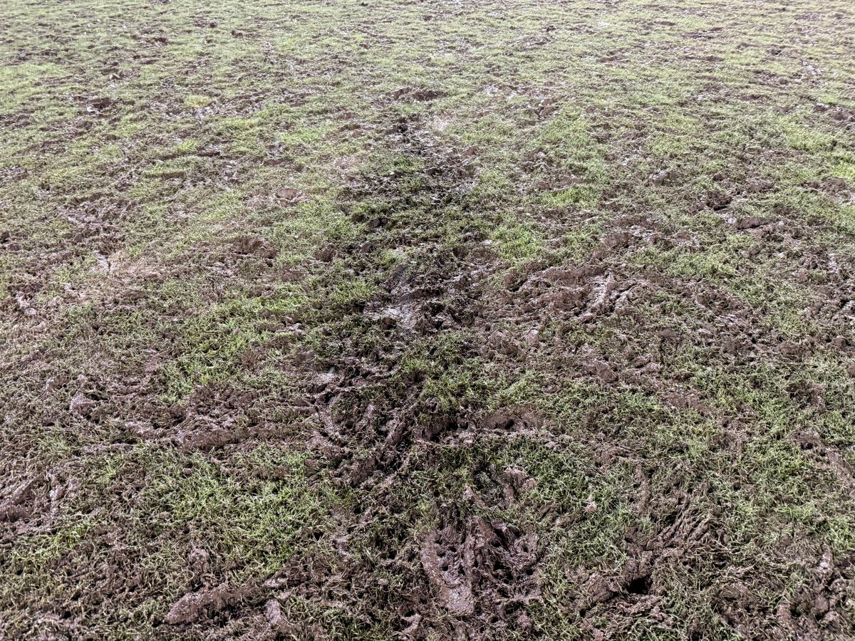 Imagini dinainte și de după România - Belgia, meci de rugby