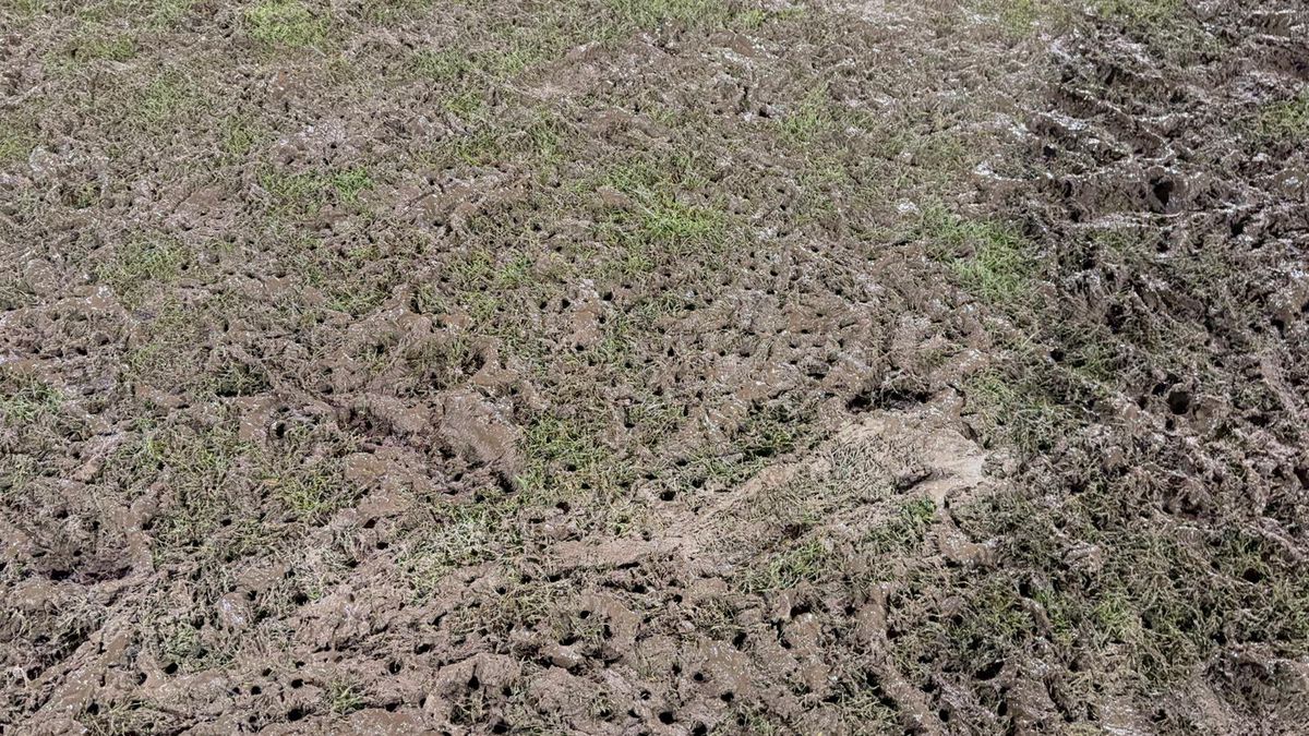 Imagini dinainte și de după România - Belgia, meci de rugby