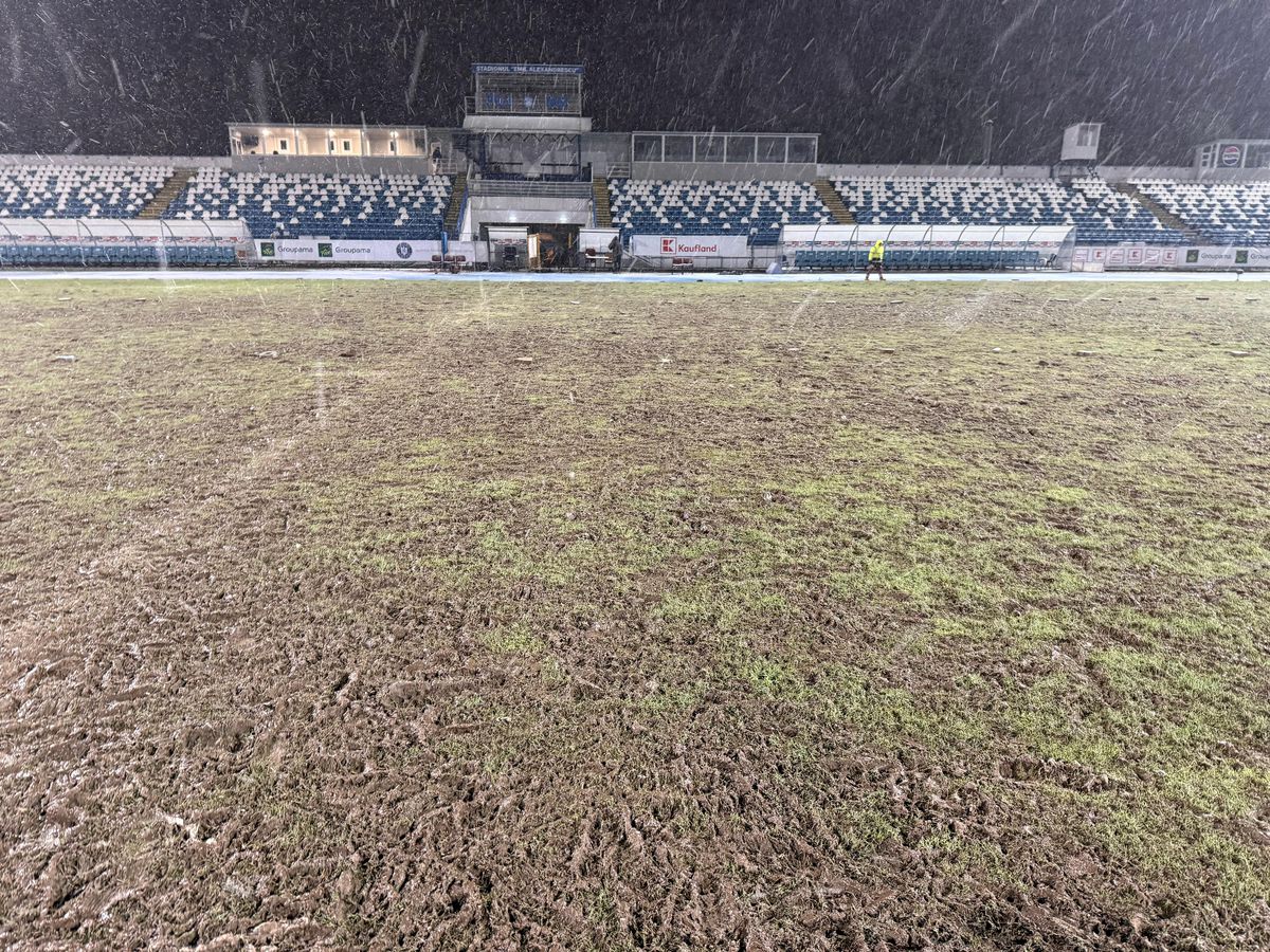 Prăpăd în urma „stejarilor” » Gazonul arenei, distrus complet: s-au investit peste 500.000 de euro