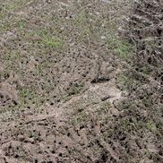 Imagini dinainte și de după România - Belgia, meci de rugby / FOTO: Ovidiu Minea (GSP.ro)