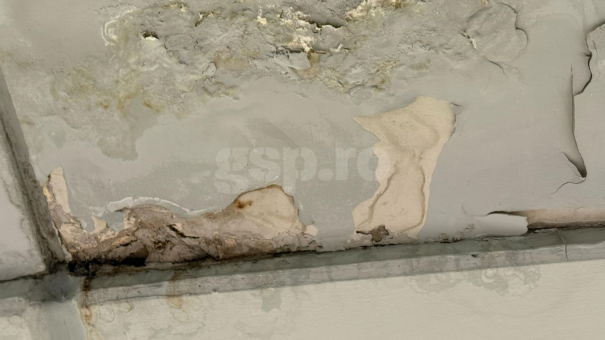 Întrebarea care l-a scos din sărite pe Șumudică » Răspunsul contondent al antrenorului: „Domnișoară, nu vreau să te jignesc”