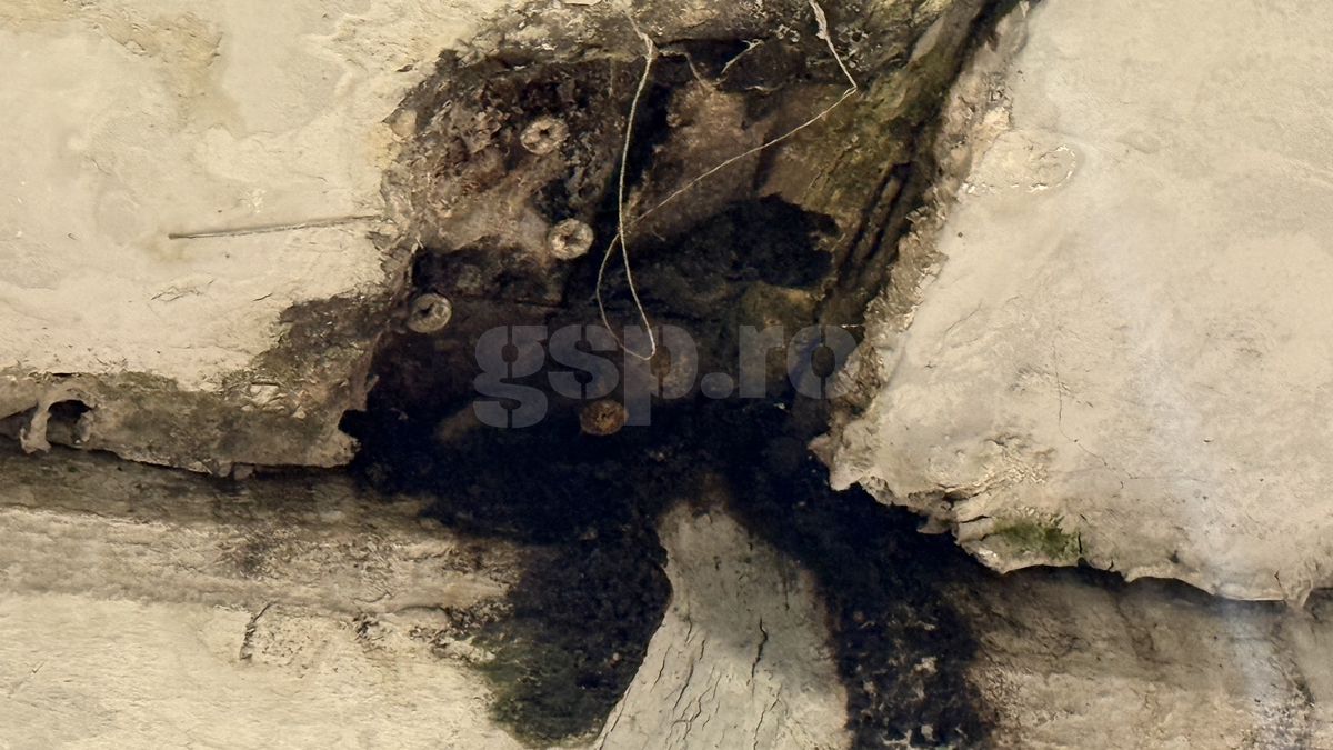 Imagini uluitoare: cum arată lojele Arenei Naționale