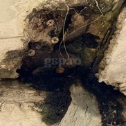 Imagini uluitoare: cum arată lojele Arenei Naționale. FOTO: Andrei Crăițoiu (GSP.RO)