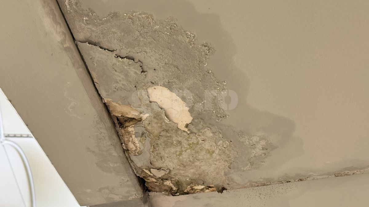 Întrebarea care l-a scos din sărite pe Șumudică » Răspunsul contondent al antrenorului: „Domnișoară, nu vreau să te jignesc”