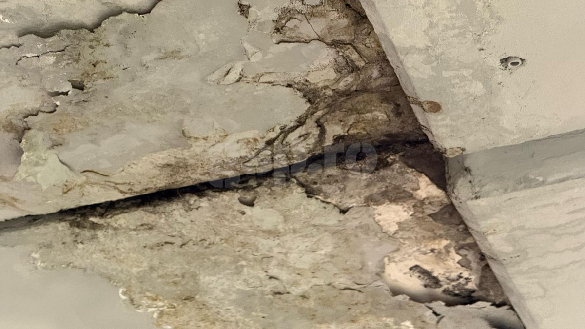 Arena Națională, în stare avansată de degradare! Imagini uluitoare surprinse de reporterii GSP