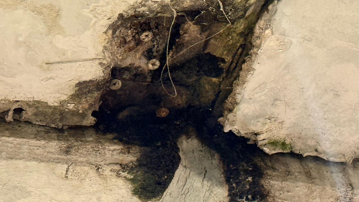 Arena Națională, în stare avansată de degradare! Imagini uluitoare surprinse de reporterii GSP