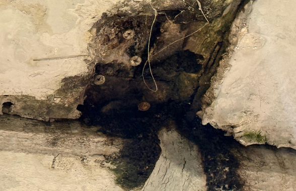 Arena Națională, în stare avansată de degradare! Imagini uluitoare surprinse de reporterii GSP