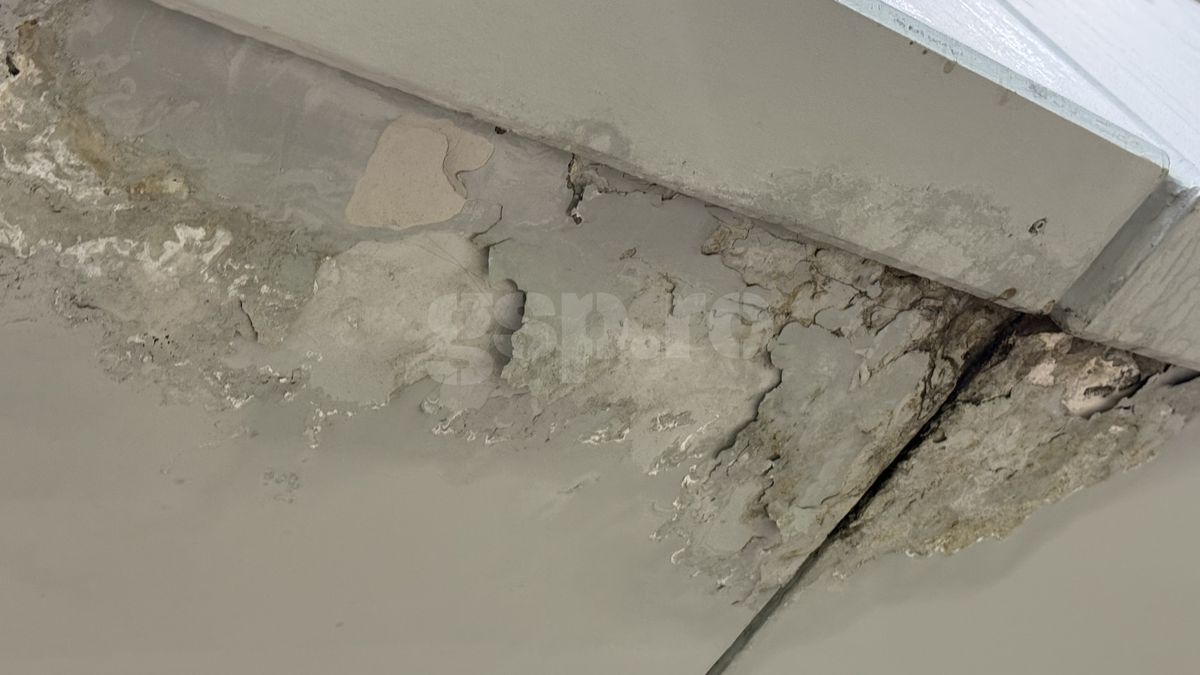 Întrebarea care l-a scos din sărite pe Șumudică » Răspunsul contondent al antrenorului: „Domnișoară, nu vreau să te jignesc”