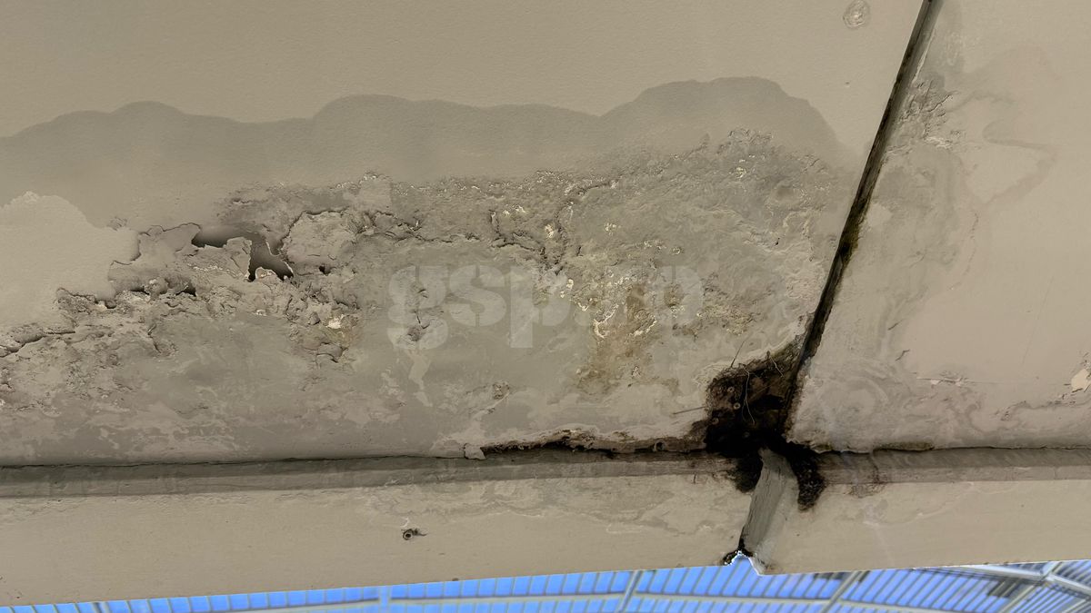 Întrebarea care l-a scos din sărite pe Șumudică » Răspunsul contondent al antrenorului: „Domnișoară, nu vreau să te jignesc”