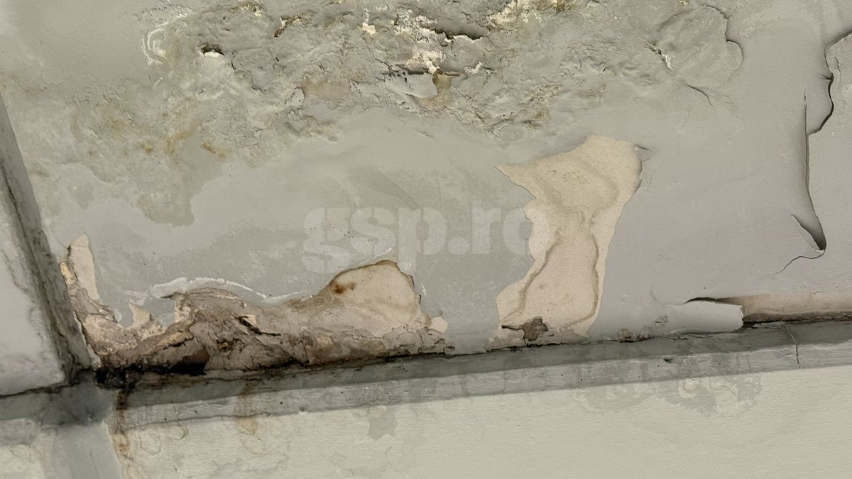 Imagini uluitoare: cum arată lojele Arenei Naționale