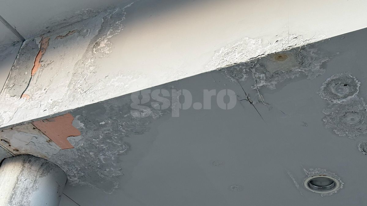 Întrebarea care l-a scos din sărite pe Șumudică » Răspunsul contondent al antrenorului: „Domnișoară, nu vreau să te jignesc”