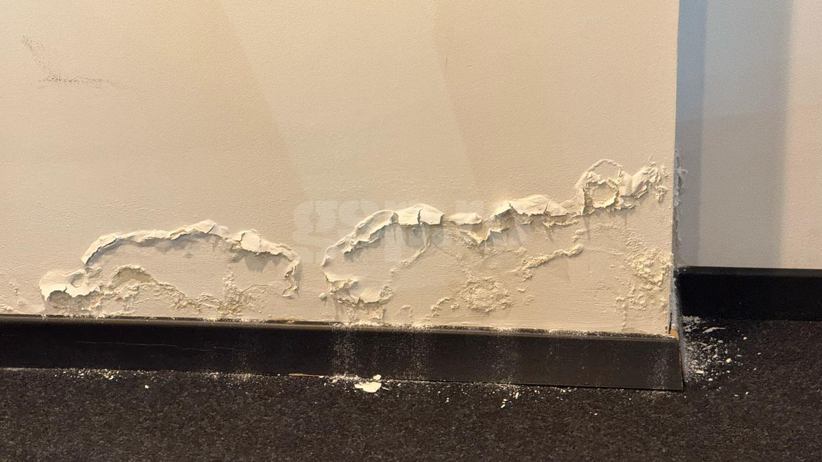 Întrebarea care l-a scos din sărite pe Șumudică » Răspunsul contondent al antrenorului: „Domnișoară, nu vreau să te jignesc”