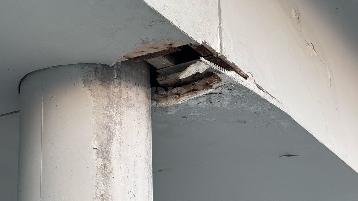 Întrebarea care l-a scos din sărite pe Șumudică » Răspunsul contondent al antrenorului: „Domnișoară, nu vreau să te jignesc”