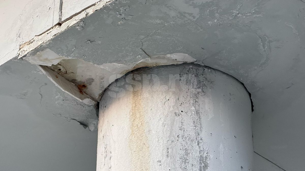 Întrebarea care l-a scos din sărite pe Șumudică » Răspunsul contondent al antrenorului: „Domnișoară, nu vreau să te jignesc”