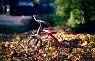 Bicicletă cu echilibru sau tricicletă  -  pe care să o alegi pentru dezvoltarea copilului tău?