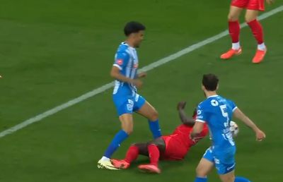 Oltenii încă vorbesc de arbitrajul de la meciul Universitatea Craiova - FCSB » Replică pentru Mihai Stoica: „S-a văzut!”