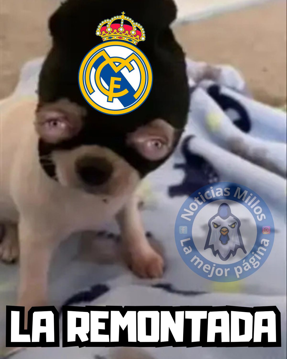 Glumele apărute după ce Real Madrid au fost eliminați de Arsenal din Liga Campionilor