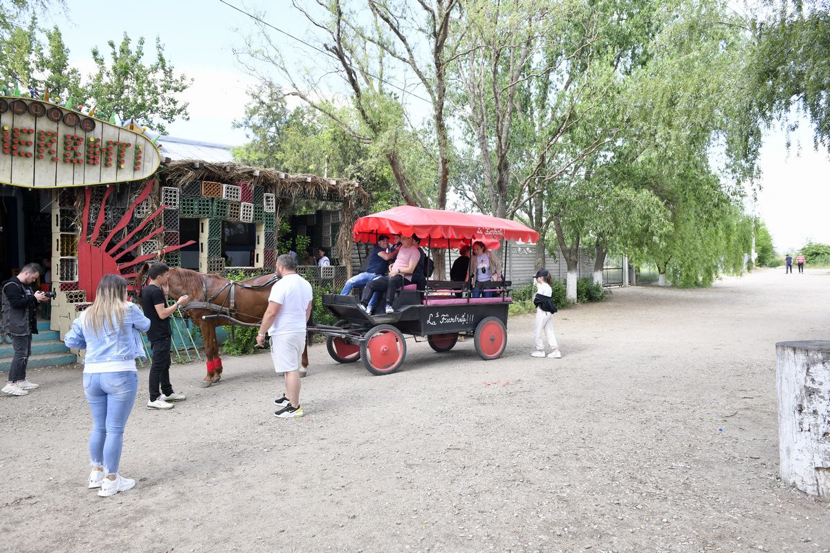 Fulgerul Fierbinți - FC Dridu » Liga 5 Ialomița