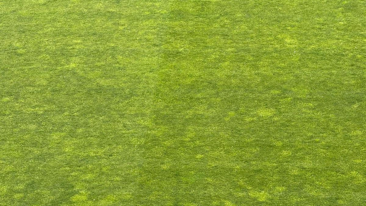 Dinamo - CFR Cluj, imagini înainte de meci
