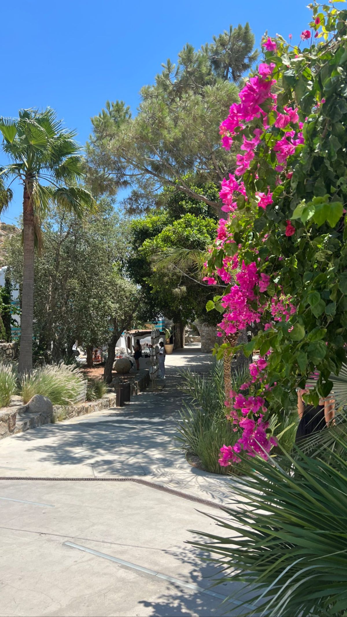 Imagini spectaculoase din vacanța Simonei Halep + comentariu cu 4 semne de exclamare de la Mouratoglou :D