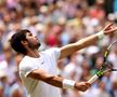 Novak Djokovic - Carlos Alcaraz, finala de la Wimbledon 2023