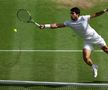Novak Djokovic - Carlos Alcaraz, finala de la Wimbledon 2023