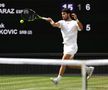 Novak Djokovic - Carlos Alcaraz, finala de la Wimbledon 2023