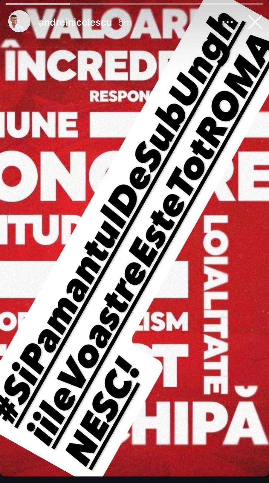 CS Dinamo s-a delimitat de fanii lui FC Dinamo, Andrei Nicolescu a răspuns poetic în social media: „E imaginea străbunilor”