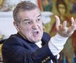 Gigi Becali primește sfaturi din partea lui Anghel Iordănescu